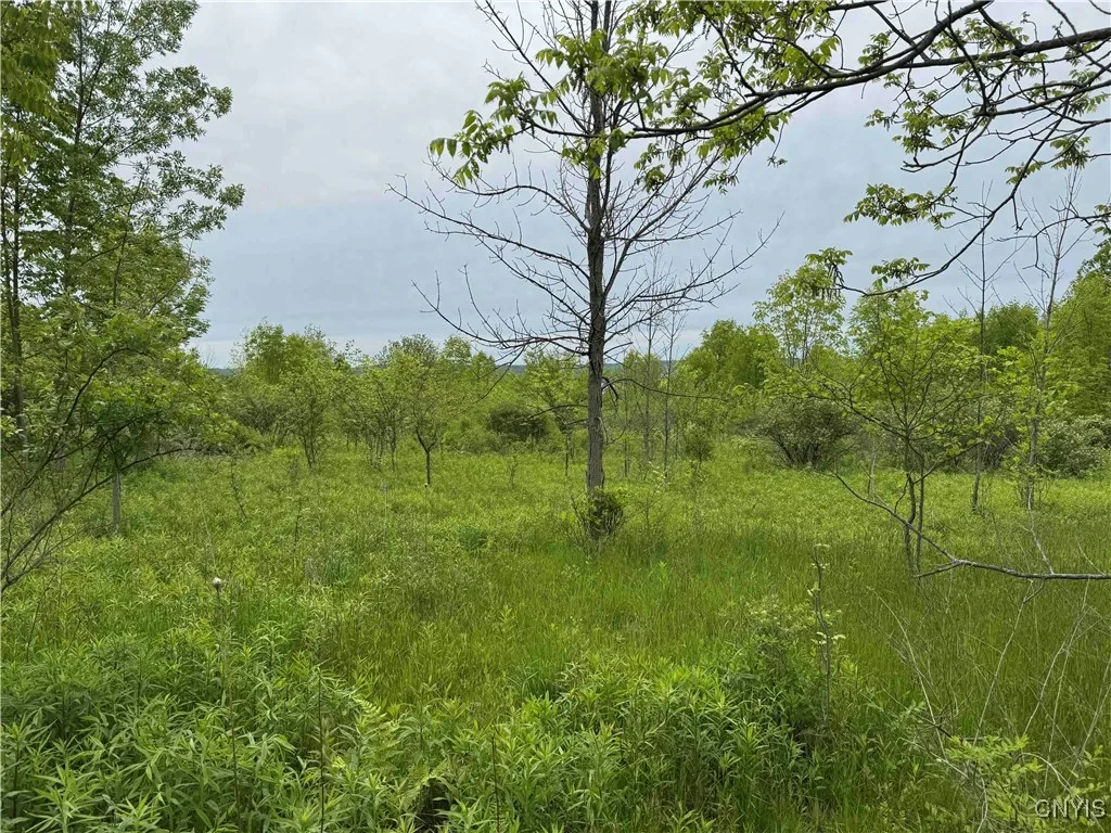 3240 Route 430, Ellery, New York 14712, Ellery, New York 14712, ,Land,Closed,3240 Route 430, Ellery, New York 14712,0,S1610466