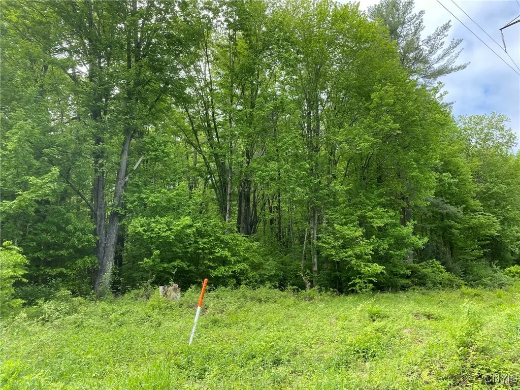 Proposed Easement Side of Transmission Line