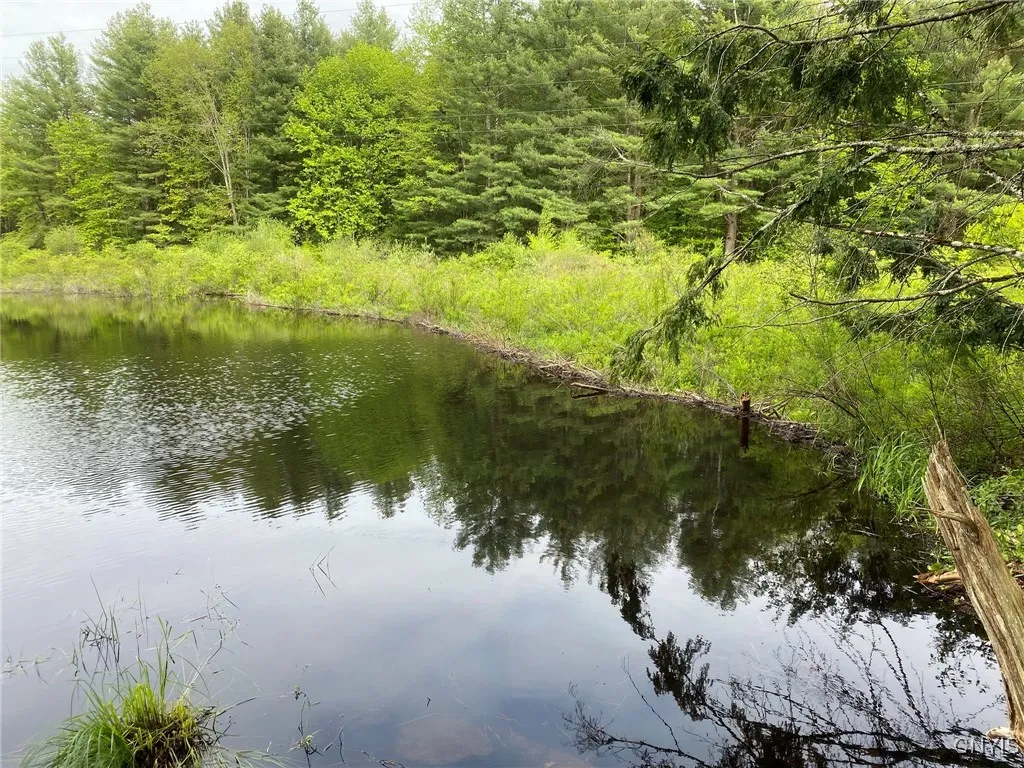 Beaver Dam