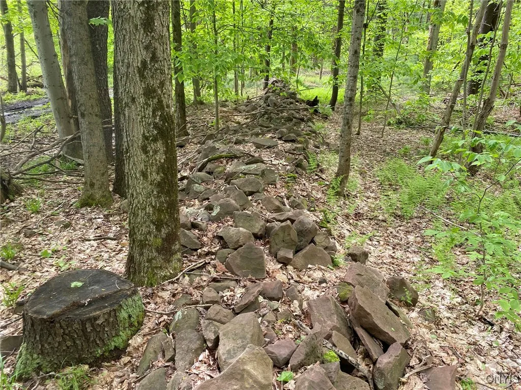 Roadside Stone Wall