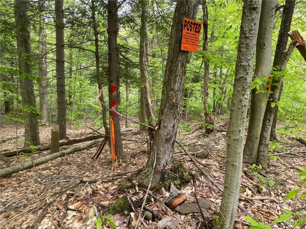 Property Corner Marker