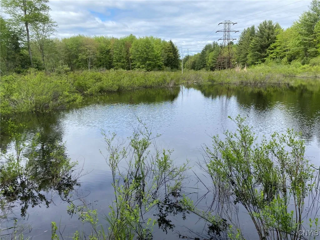 Beaver Pond View North