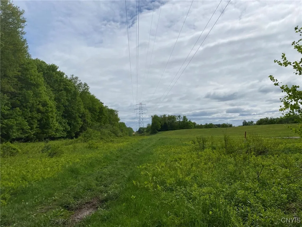 View South of Property Corner