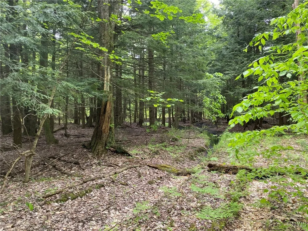 Logging Trail
