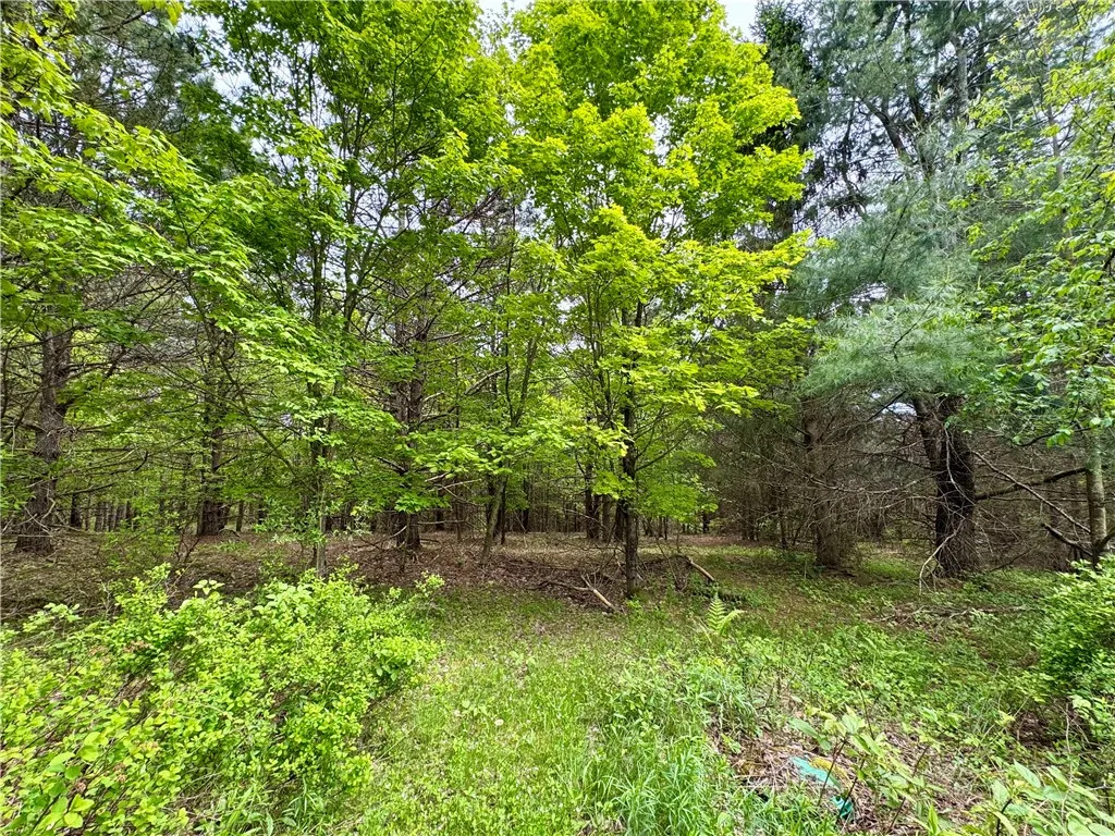 188 Collars Road, Milford, New York 13820, Milford, New York 13820, 3 Bedrooms Bedrooms, 10 Rooms Rooms,2 BathroomsBathrooms,Residential,For Sale,188 Collars Road, Milford, New York 13820,0,R1610613