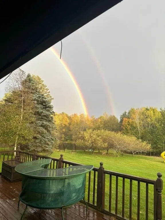 188 Collars Road, Milford, New York 13820, Milford, New York 13820, 3 Bedrooms Bedrooms, 10 Rooms Rooms,2 BathroomsBathrooms,Residential,For Sale,188 Collars Road, Milford, New York 13820,0,R1610613