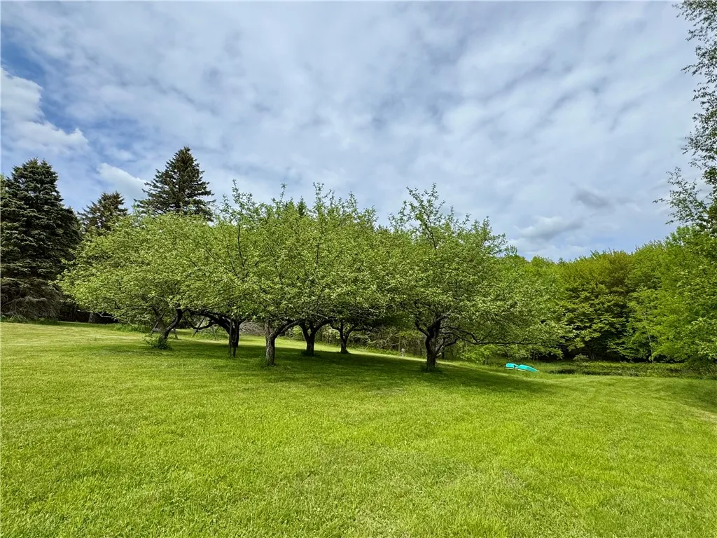 188 Collars Road, Milford, New York 13820, Milford, New York 13820, 3 Bedrooms Bedrooms, 10 Rooms Rooms,2 BathroomsBathrooms,Residential,For Sale,188 Collars Road, Milford, New York 13820,0,R1610613