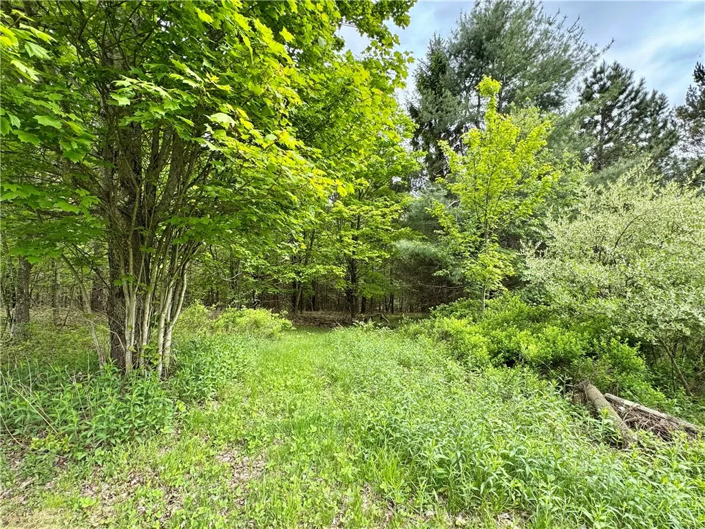 188 Collars Road, Milford, New York 13820, Milford, New York 13820, 3 Bedrooms Bedrooms, 10 Rooms Rooms,2 BathroomsBathrooms,Residential,For Sale,188 Collars Road, Milford, New York 13820,0,R1610613