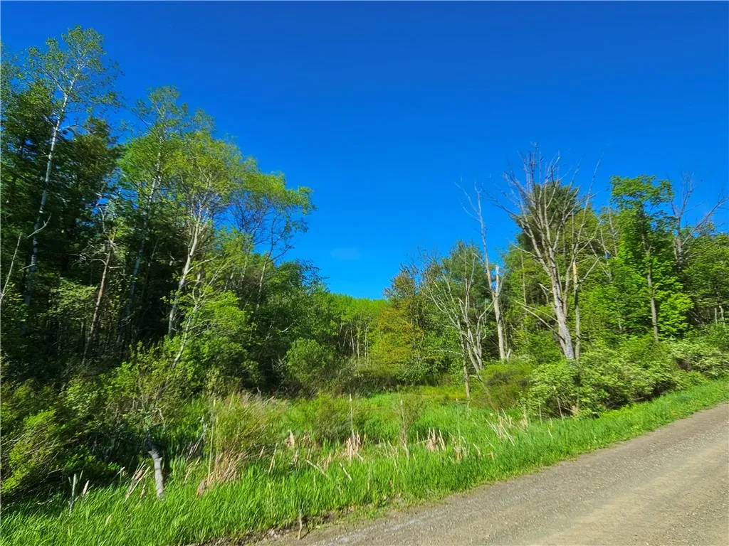 9593 Bull Hill Road Road, Wheeler, New York 14809, Wheeler, New York 14809, 2 Bedrooms Bedrooms, 1 Room Rooms,Residential,For Sale,9593 Bull Hill Road Road, Wheeler, New York 14809,0,R1610986