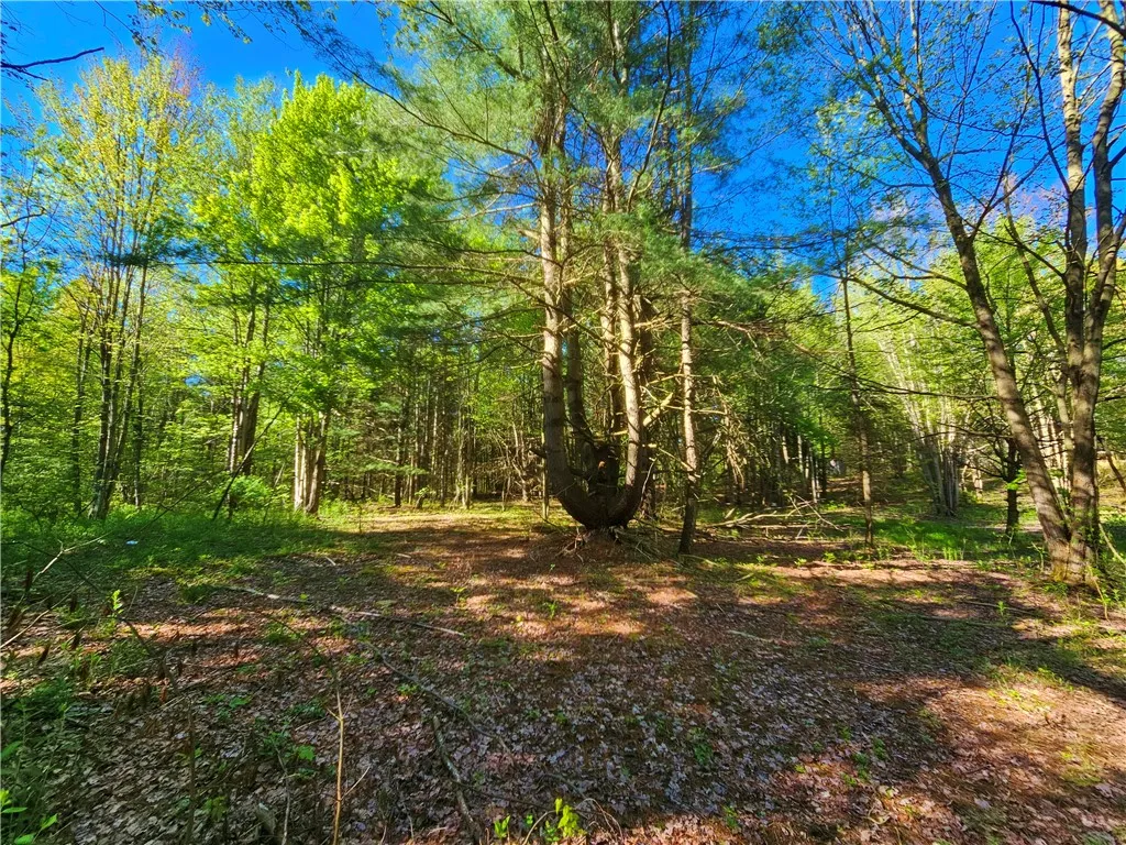 9593 Bull Hill Road Road, Wheeler, New York 14809, Wheeler, New York 14809, 2 Bedrooms Bedrooms, 1 Room Rooms,Residential,For Sale,9593 Bull Hill Road Road, Wheeler, New York 14809,0,R1610986