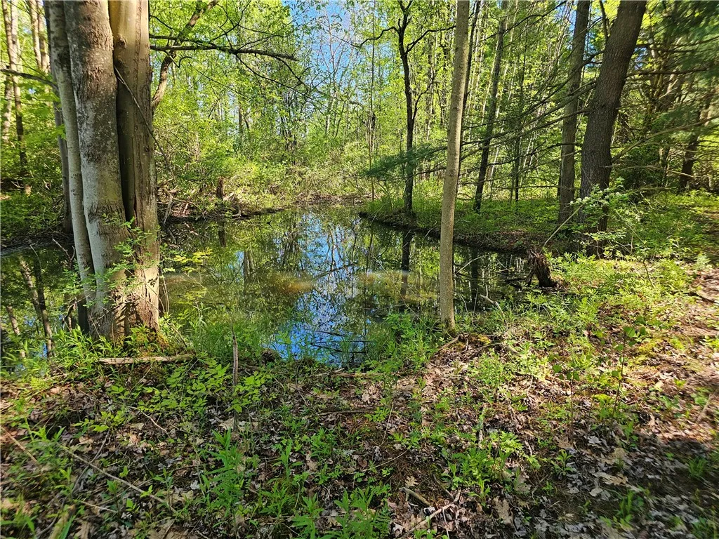 9593 Bull Hill Road Road, Wheeler, New York 14809, Wheeler, New York 14809, 2 Bedrooms Bedrooms, 1 Room Rooms,Residential,For Sale,9593 Bull Hill Road Road, Wheeler, New York 14809,0,R1610986