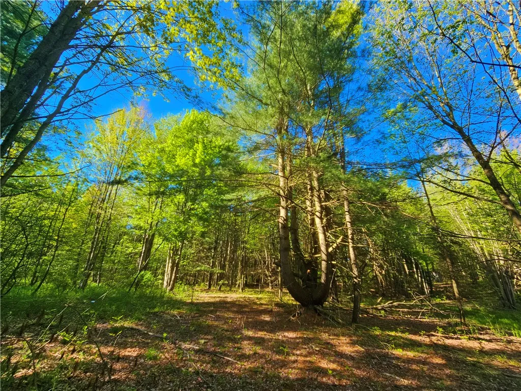 9593 Bull Hill Road Road, Wheeler, New York 14809, Wheeler, New York 14809, 2 Bedrooms Bedrooms, 1 Room Rooms,Residential,For Sale,9593 Bull Hill Road Road, Wheeler, New York 14809,0,R1610986