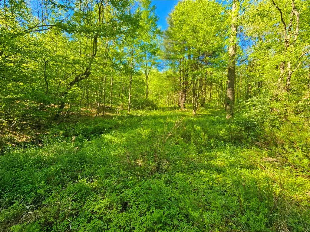 9593 Bull Hill Road Road, Wheeler, New York 14809, Wheeler, New York 14809, 2 Bedrooms Bedrooms, 1 Room Rooms,Residential,For Sale,9593 Bull Hill Road Road, Wheeler, New York 14809,0,R1610986