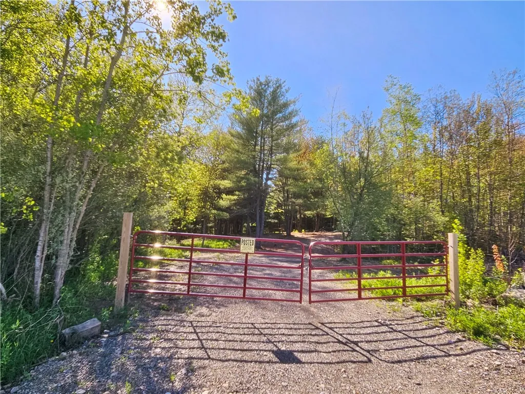 9593 Bull Hill Road Road, Wheeler, New York 14809, Wheeler, New York 14809, 2 Bedrooms Bedrooms, 1 Room Rooms,Residential,For Sale,9593 Bull Hill Road Road, Wheeler, New York 14809,0,R1610986