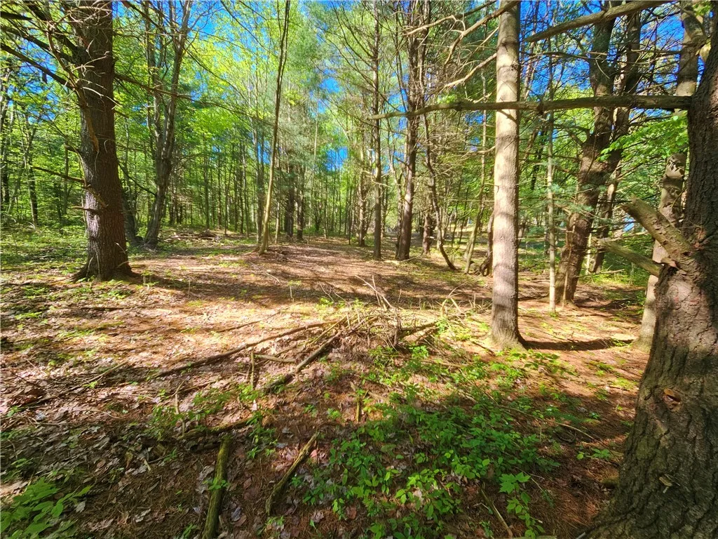 9593 Bull Hill Road Road, Wheeler, New York 14809, Wheeler, New York 14809, 2 Bedrooms Bedrooms, 1 Room Rooms,Residential,For Sale,9593 Bull Hill Road Road, Wheeler, New York 14809,0,R1610986