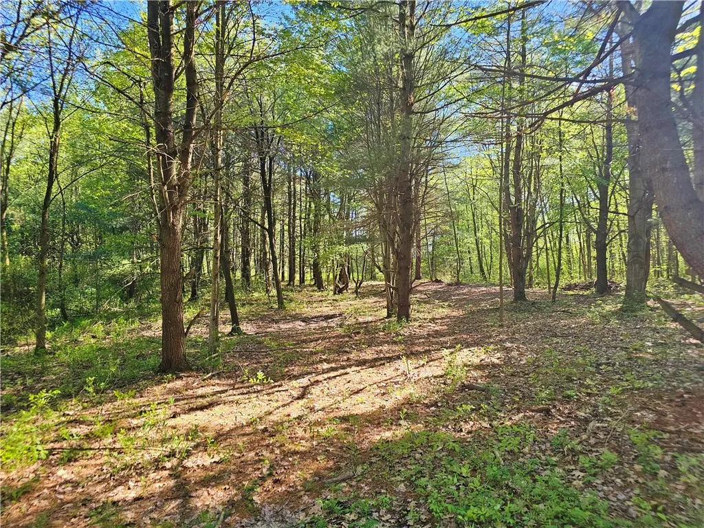 9593 Bull Hill Road Road, Wheeler, New York 14809, Wheeler, New York 14809, 2 Bedrooms Bedrooms, 1 Room Rooms,Residential,For Sale,9593 Bull Hill Road Road, Wheeler, New York 14809,0,R1610986