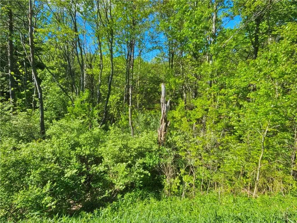 9593 Bull Hill Road Road, Wheeler, New York 14809, Wheeler, New York 14809, 2 Bedrooms Bedrooms, 1 Room Rooms,Residential,For Sale,9593 Bull Hill Road Road, Wheeler, New York 14809,0,R1610986