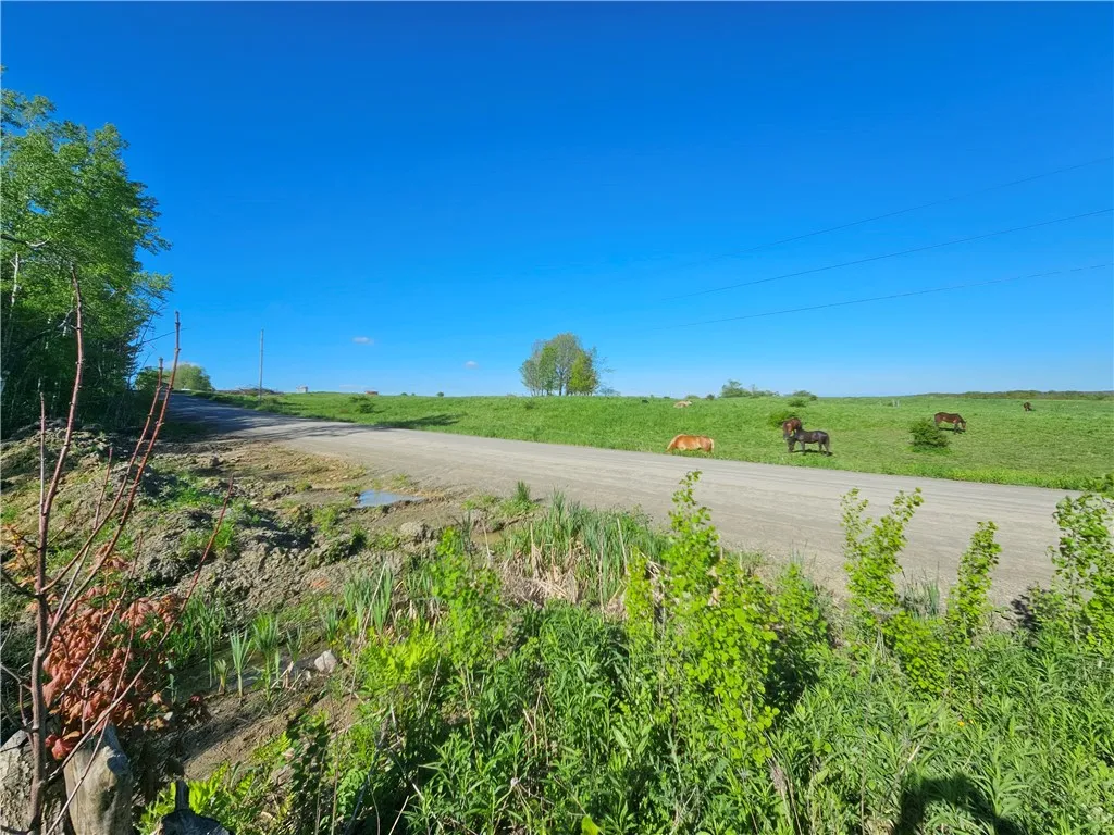 9593 Bull Hill Road Road, Wheeler, New York 14809, Wheeler, New York 14809, 2 Bedrooms Bedrooms, 1 Room Rooms,Residential,For Sale,9593 Bull Hill Road Road, Wheeler, New York 14809,0,R1610986