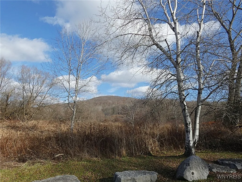 Cooney Rd View