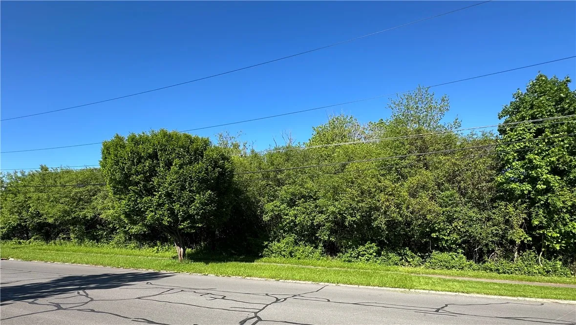 110 - 114 Garrow Street, Auburn, New York 13021, Auburn, New York 13021, ,Land,For Sale,110 - 114 Garrow Street, Auburn, New York 13021,0,R1609665
