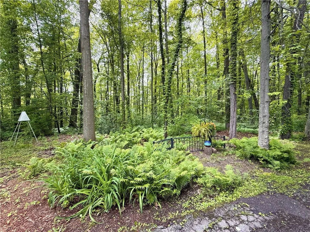 1476 Grange Hall Road, Junius, New York 14532, Junius, New York 14532, 3 Bedrooms Bedrooms, 7 Rooms Rooms,2 BathroomsBathrooms,Residential,Closed,1476 Grange Hall Road, Junius, New York 14532,0,R1609014