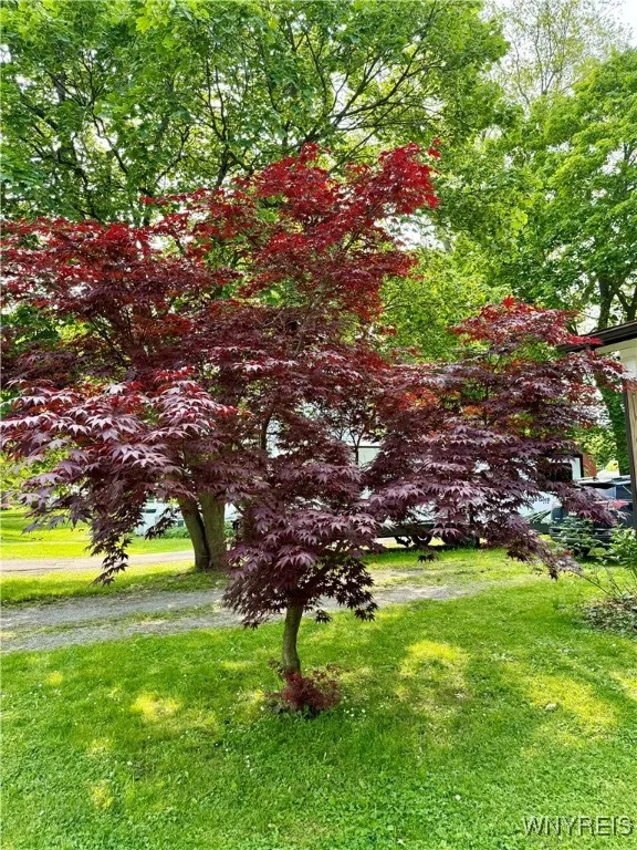 38 East Main Street, Pembroke, New York 14036, Pembroke, New York 14036, 3 Bedrooms Bedrooms, 7 Rooms Rooms,2 BathroomsBathrooms,Residential,Closed,38 East Main Street, Pembroke, New York 14036,B1611530