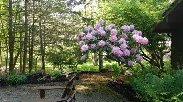 The landscape here is mature and very well loved.