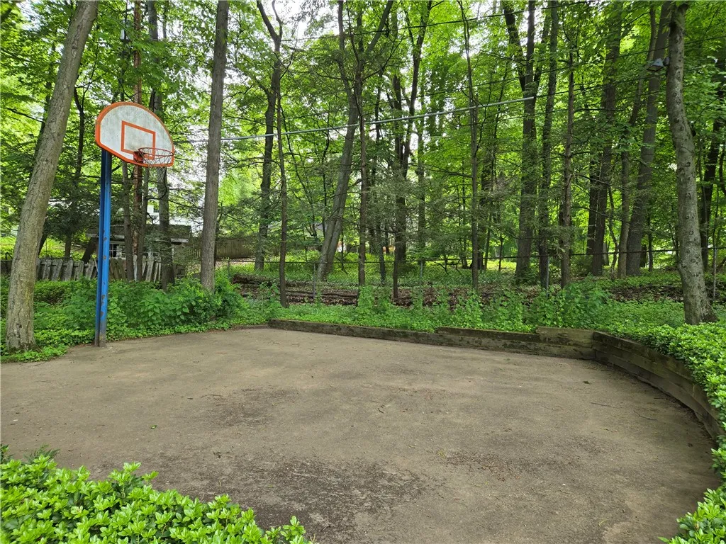 Yup! your own private basketball court.