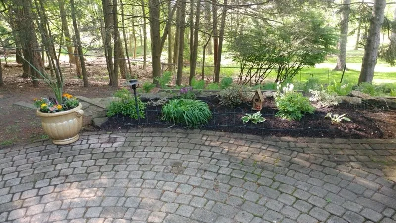 The patio area offers lots of space for fun with family and friends.