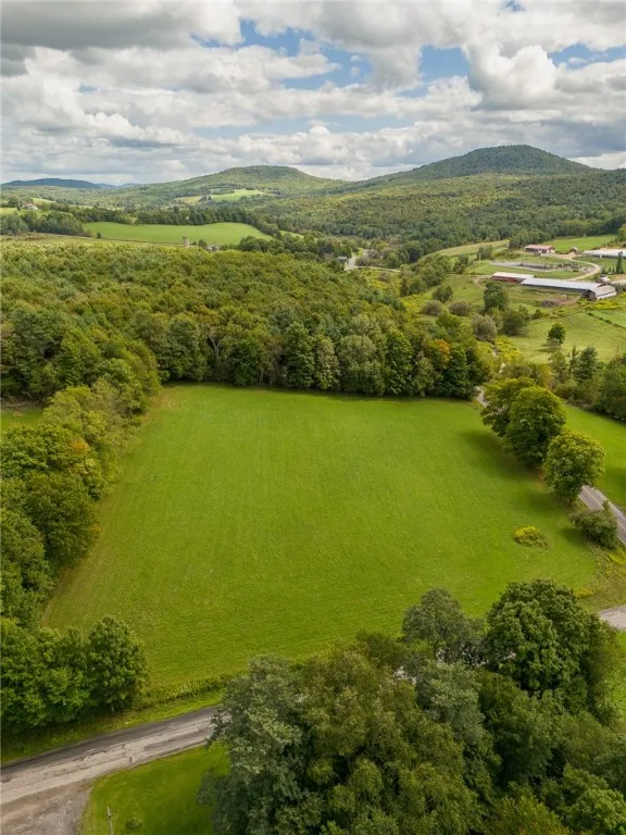 22 Stonehouse Road, Kortright, New York 13739, Kortright, New York 13739, ,Land,For Sale,22 Stonehouse Road, Kortright, New York 13739,R1611288