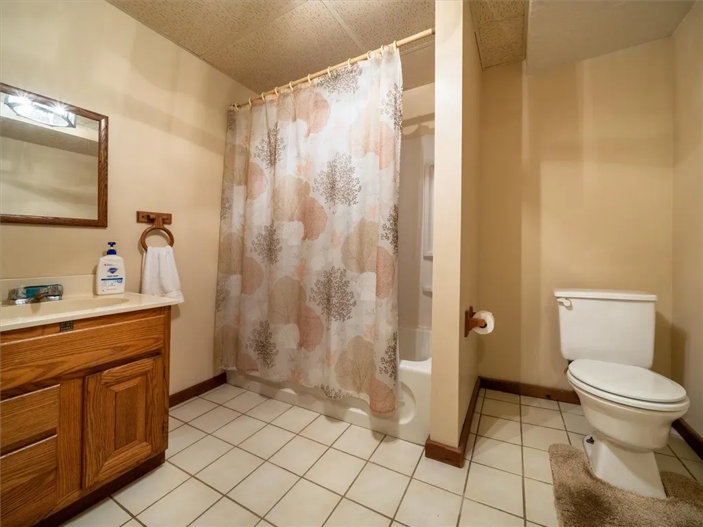 Lower level bathroom