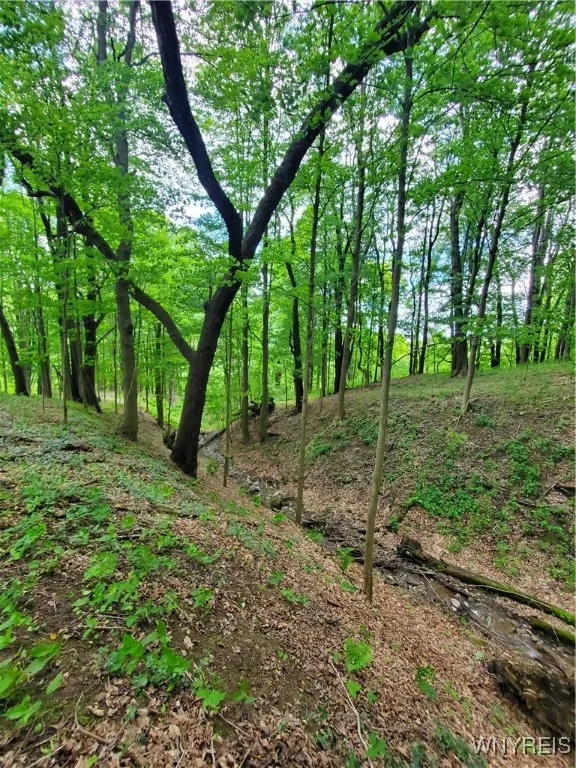 7200 Kent Road, Mansfield, New York 14731, Mansfield, New York 14731, ,Land,For Sale,7200 Kent Road, Mansfield, New York 14731,0,B1610678