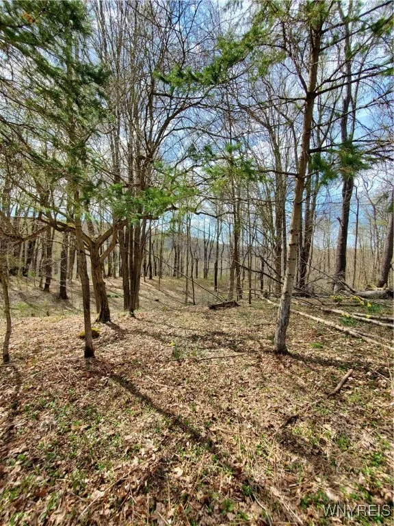 7200 Kent Road, Mansfield, New York 14731, Mansfield, New York 14731, ,Land,For Sale,7200 Kent Road, Mansfield, New York 14731,0,B1610678