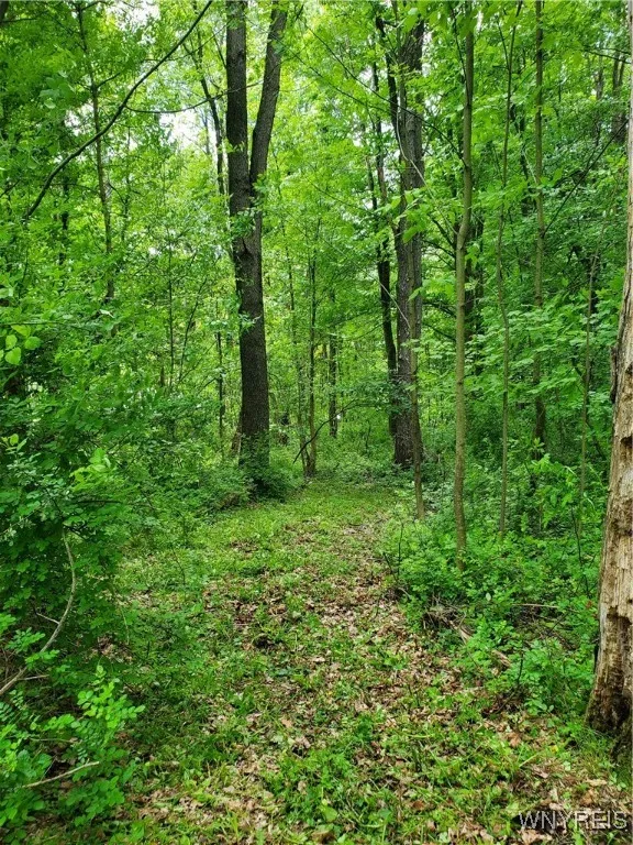 7200 Kent Road, Mansfield, New York 14731, Mansfield, New York 14731, ,Land,For Sale,7200 Kent Road, Mansfield, New York 14731,0,B1610678