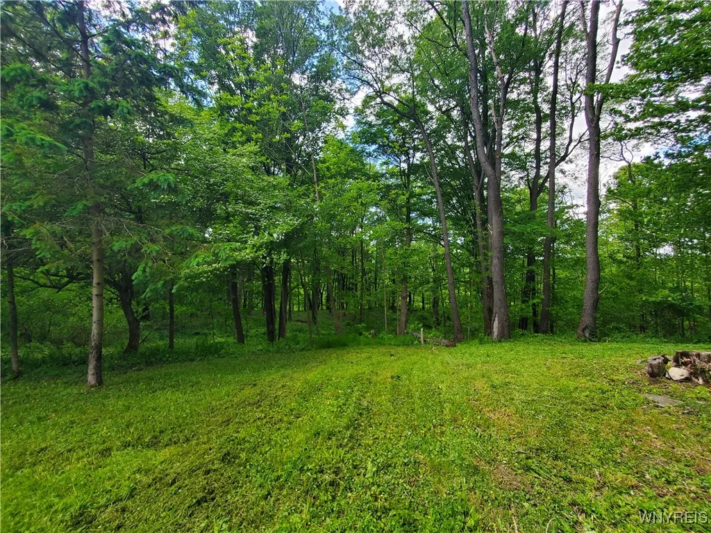 7200 Kent Road, Mansfield, New York 14731, Mansfield, New York 14731, ,Land,For Sale,7200 Kent Road, Mansfield, New York 14731,0,B1610678