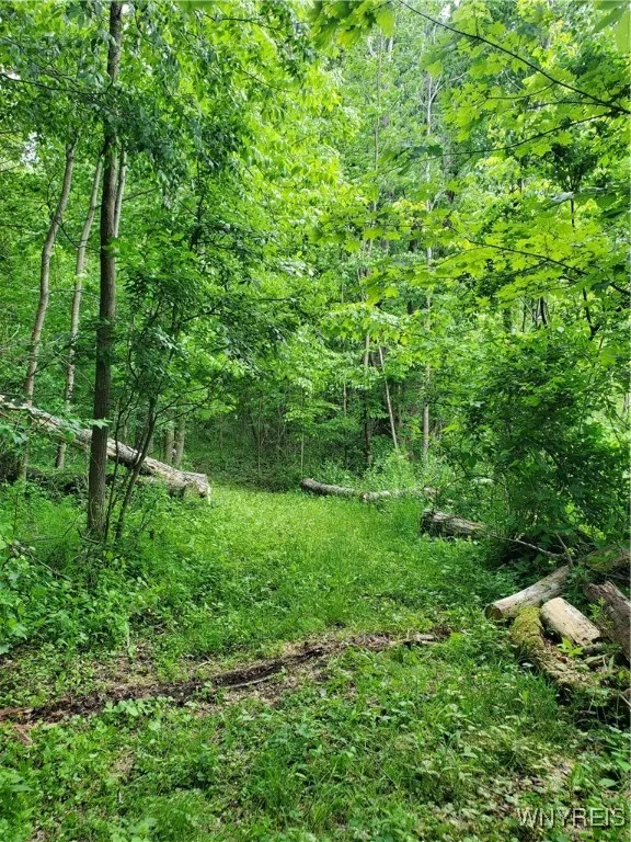 7200 Kent Road, Mansfield, New York 14731, Mansfield, New York 14731, ,Land,For Sale,7200 Kent Road, Mansfield, New York 14731,0,B1610678