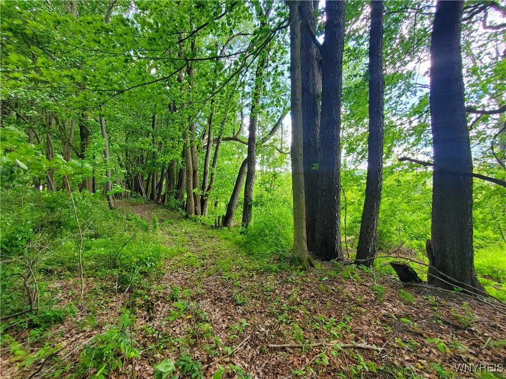 7200 Kent Road, Mansfield, New York 14731, Mansfield, New York 14731, ,Land,For Sale,7200 Kent Road, Mansfield, New York 14731,0,B1610678