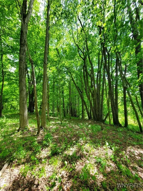 7200 Kent Road, Mansfield, New York 14731, Mansfield, New York 14731, ,Land,For Sale,7200 Kent Road, Mansfield, New York 14731,0,B1610678