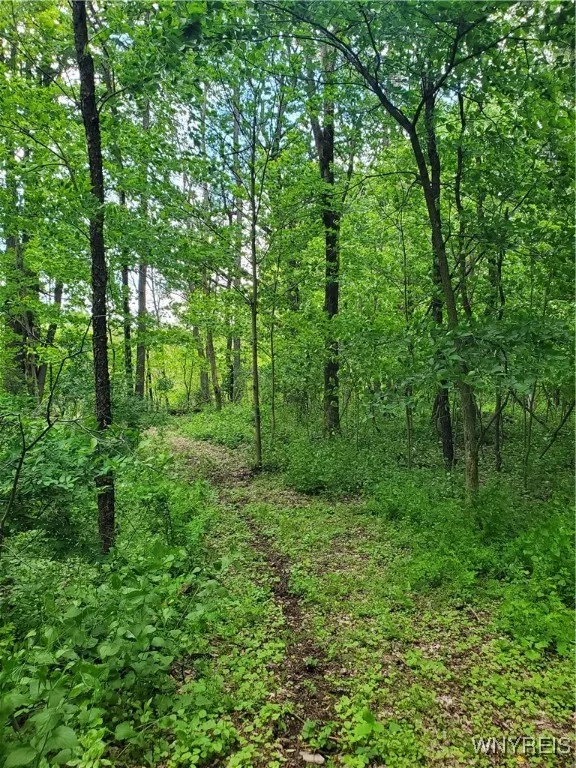 7200 Kent Road, Mansfield, New York 14731, Mansfield, New York 14731, ,Land,For Sale,7200 Kent Road, Mansfield, New York 14731,0,B1610678