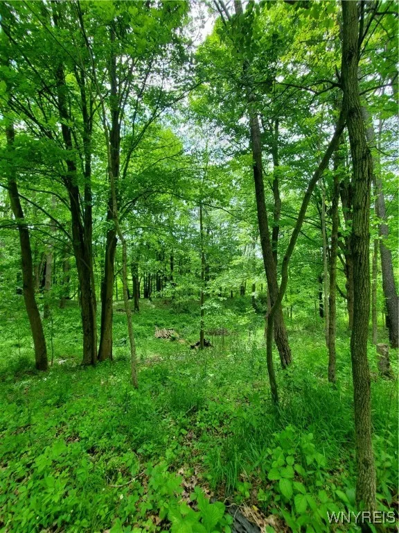 7200 Kent Road, Mansfield, New York 14731, Mansfield, New York 14731, ,Land,For Sale,7200 Kent Road, Mansfield, New York 14731,0,B1610678