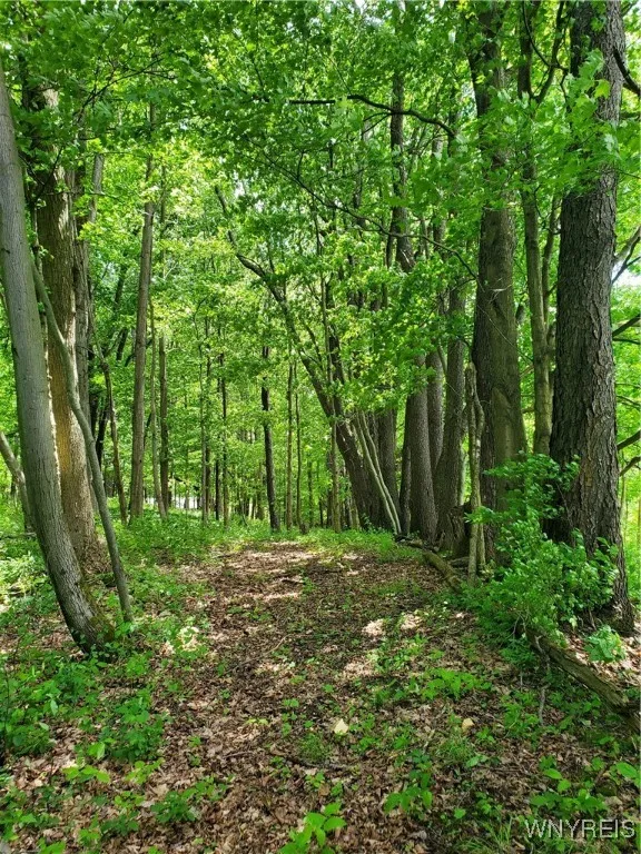7200 Kent Road, Mansfield, New York 14731, Mansfield, New York 14731, ,Land,For Sale,7200 Kent Road, Mansfield, New York 14731,0,B1610678