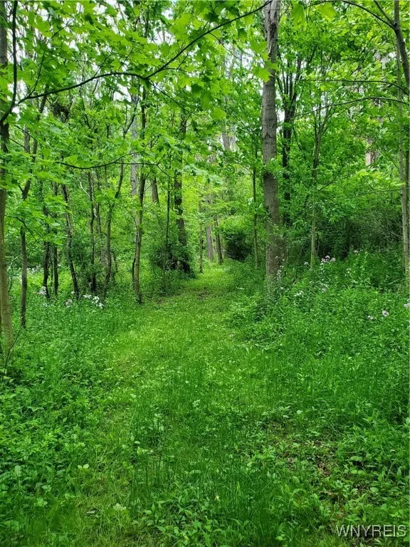 7200 Kent Road, Mansfield, New York 14731, Mansfield, New York 14731, ,Land,For Sale,7200 Kent Road, Mansfield, New York 14731,0,B1610678