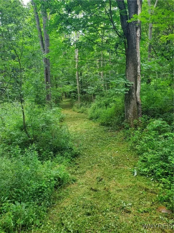 7200 Kent Road, Mansfield, New York 14731, Mansfield, New York 14731, ,Land,For Sale,7200 Kent Road, Mansfield, New York 14731,0,B1610678