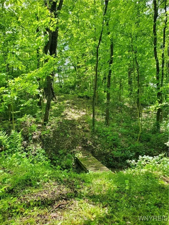 7200 Kent Road, Mansfield, New York 14731, Mansfield, New York 14731, ,Land,For Sale,7200 Kent Road, Mansfield, New York 14731,0,B1610678