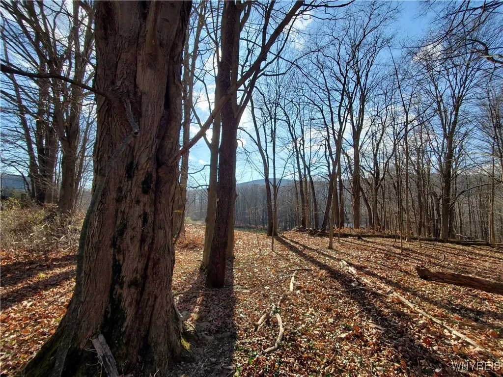 7200 Kent Road, Mansfield, New York 14731, Mansfield, New York 14731, ,Land,For Sale,7200 Kent Road, Mansfield, New York 14731,0,B1610678