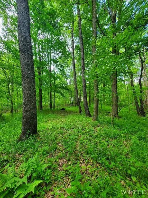 7200 Kent Road, Mansfield, New York 14731, Mansfield, New York 14731, ,Land,For Sale,7200 Kent Road, Mansfield, New York 14731,0,B1610678