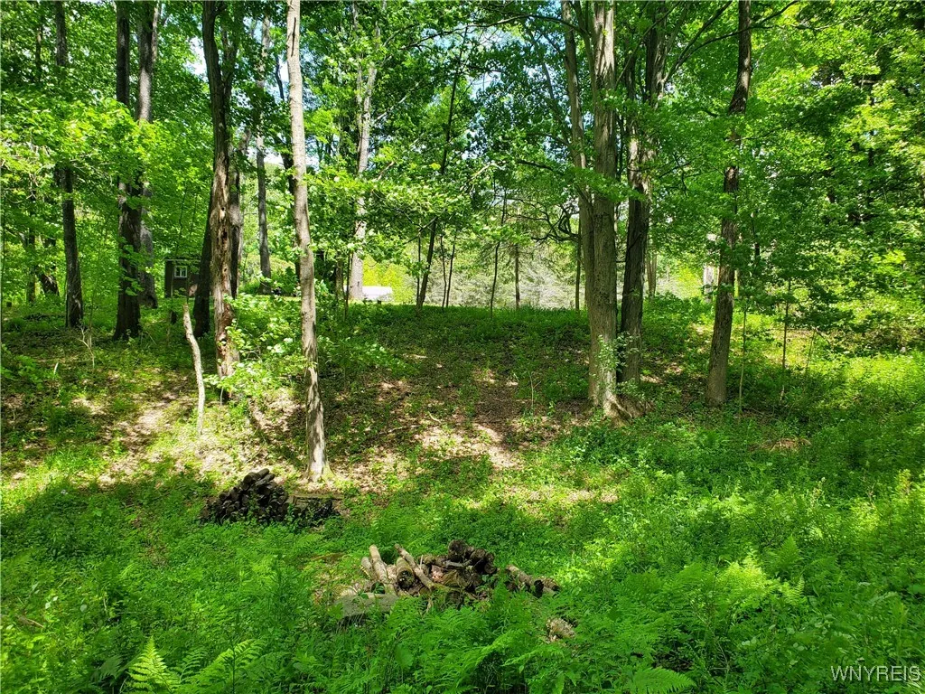 7200 Kent Road, Mansfield, New York 14731, Mansfield, New York 14731, ,Land,For Sale,7200 Kent Road, Mansfield, New York 14731,0,B1610678