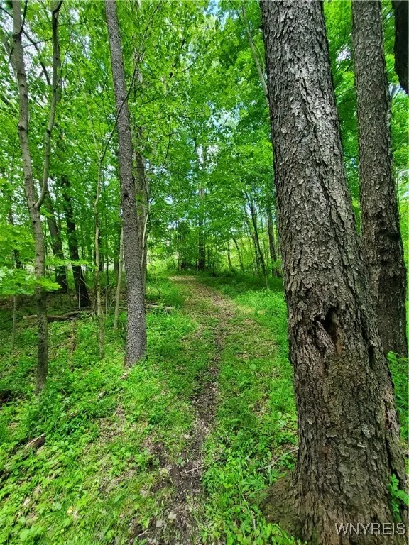 7200 Kent Road, Mansfield, New York 14731, Mansfield, New York 14731, ,Land,For Sale,7200 Kent Road, Mansfield, New York 14731,0,B1610678