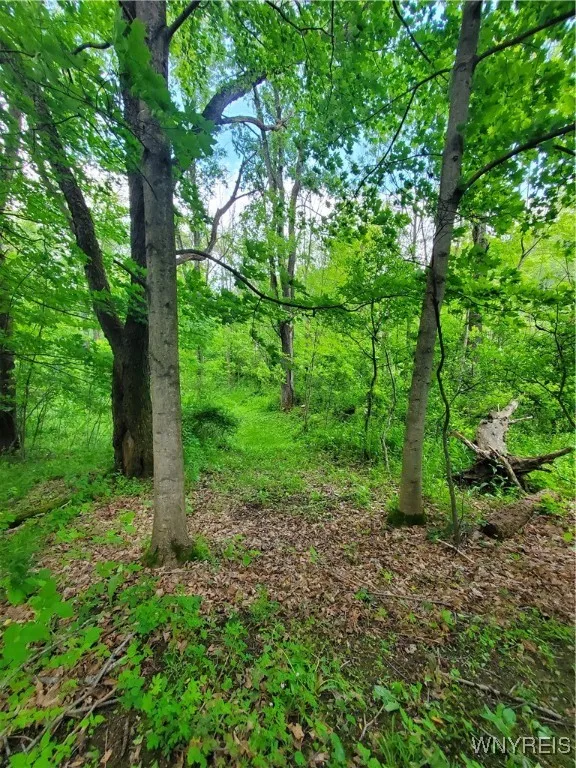 7200 Kent Road, Mansfield, New York 14731, Mansfield, New York 14731, ,Land,For Sale,7200 Kent Road, Mansfield, New York 14731,0,B1610678