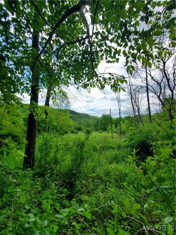 7200 Kent Road, Mansfield, New York 14731, Mansfield, New York 14731, ,Land,For Sale,7200 Kent Road, Mansfield, New York 14731,0,B1610678